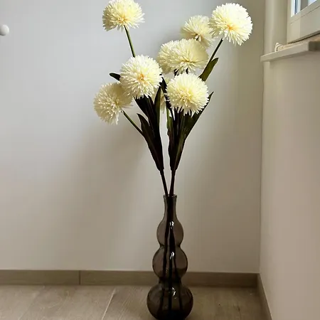 Residenz Donau-schlossblick * Sigmaringen